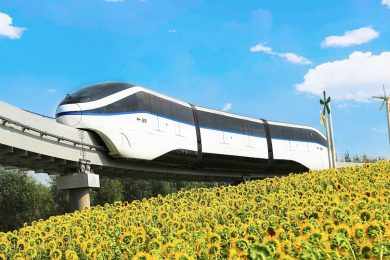 Metrô nega recursos e reconfirma BYD como vencedora da licitação dos trens e sistemas da Linha 17-Ouro