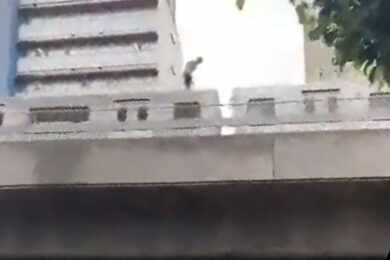 Em novo revés para a segurança do Metrô, homem “surfa” no teto de um trem da Linha 1-Azul
