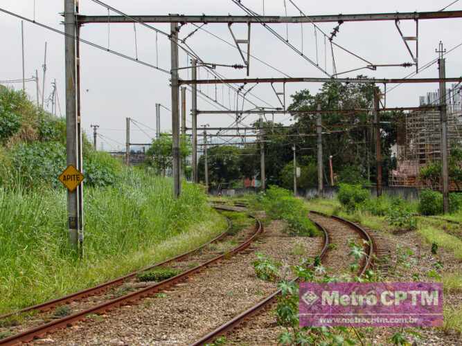 Capina precisa ser reforçada em alguns trechos (Jean Carlos)