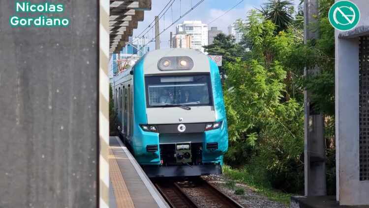 Vão entre trem e a plataforma (Nícolas Gordiano)