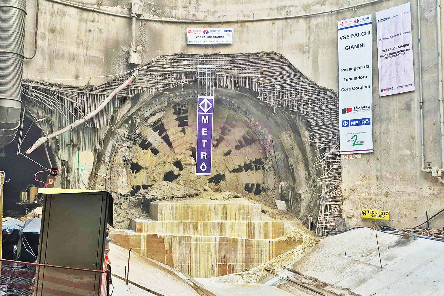Tatuzão "Cora Coralina" chega ao VSE Falchi Gianini
