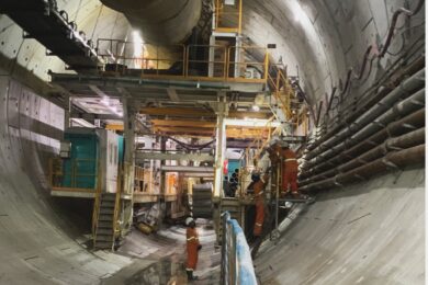Tatuzão Cora Coralina já dentro do túnel após Penha
