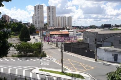 Rua José Sarraceni, que concentra a maior parte dos imóveis
